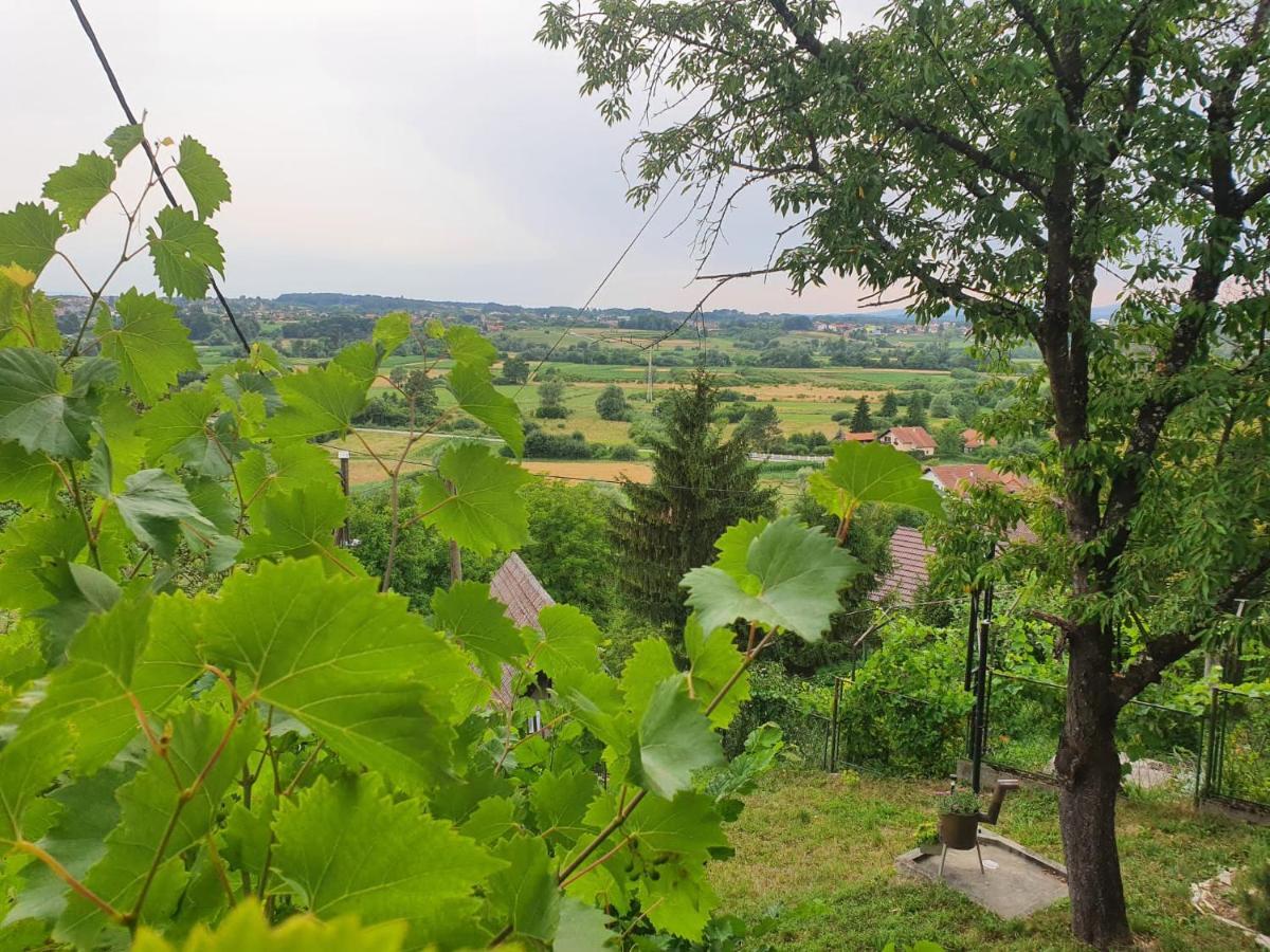 Oroslavje Holiday Home Draskica المظهر الخارجي الصورة